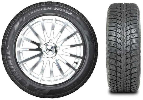 Зимние шины Delinte Winter WD52