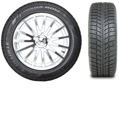 Зимние шины Delinte Winter WD52