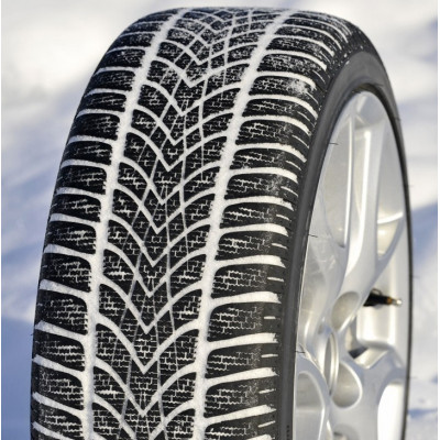 Зимние шины Dunlop Winter Maxx SJ8