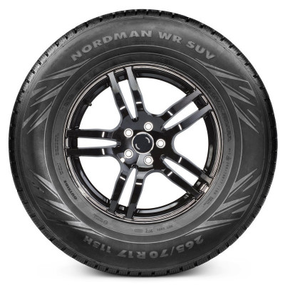Зимние шины Nokian Nordman WR
