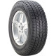 Bridgestone Blizzak DM-V1