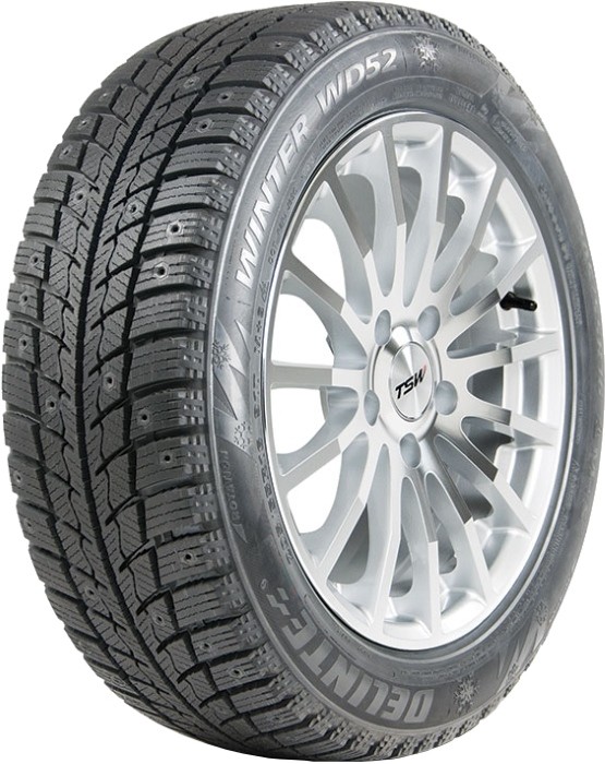 Зимние шины Delinte Winter WD52
