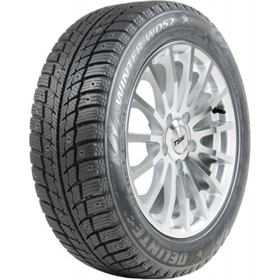Зимние шины Delinte Winter WD52