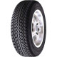 Nexen-Roadstone WinGuard
