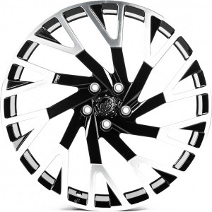 WS-068C