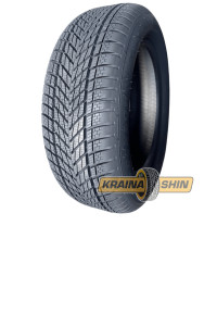 Dunlop Winter