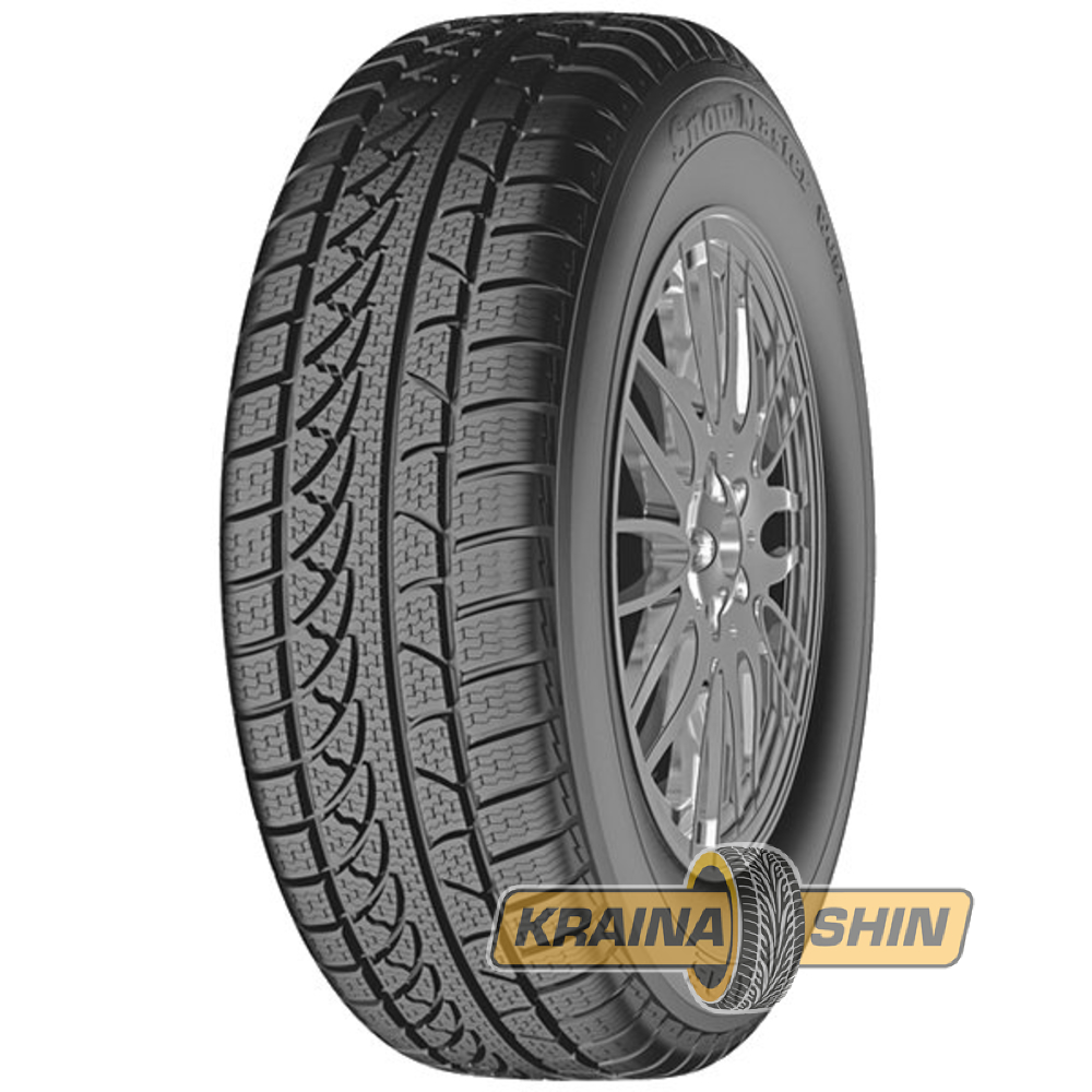 Зимние шины Petlas Snow Master W651